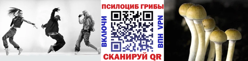 как найти закладки  Камбарка  Псилоцибиновые грибы Magic Shrooms 