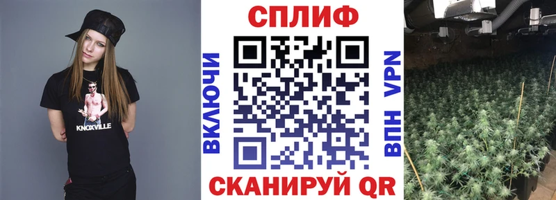Конопля AK-47  сайты даркнета какой сайт  Камбарка 
